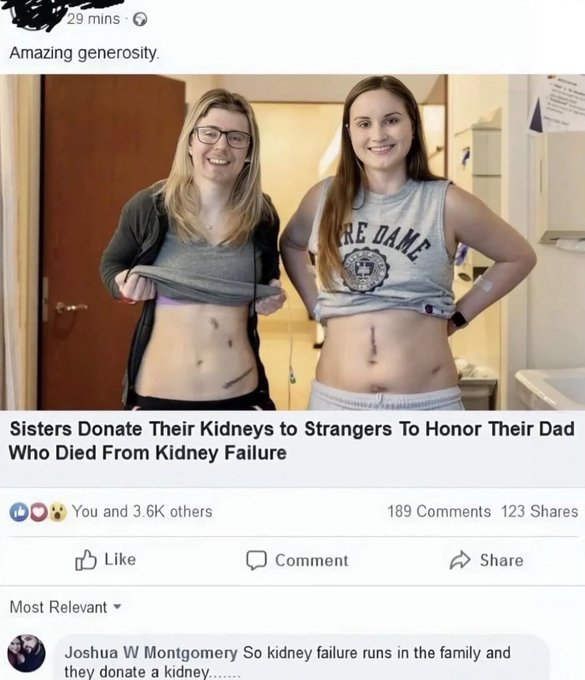 Reply Archive tweet media