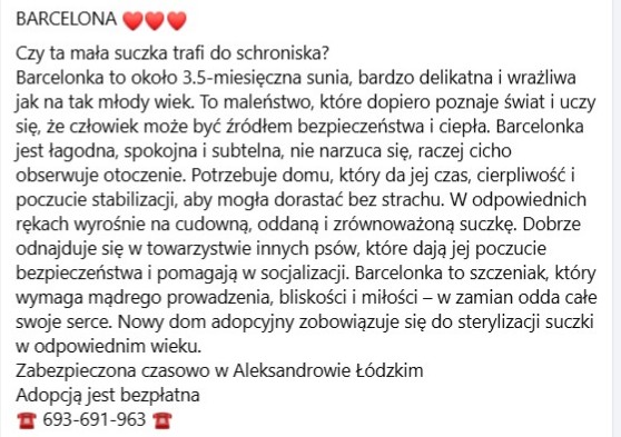 Robwalka Wolf tweet media