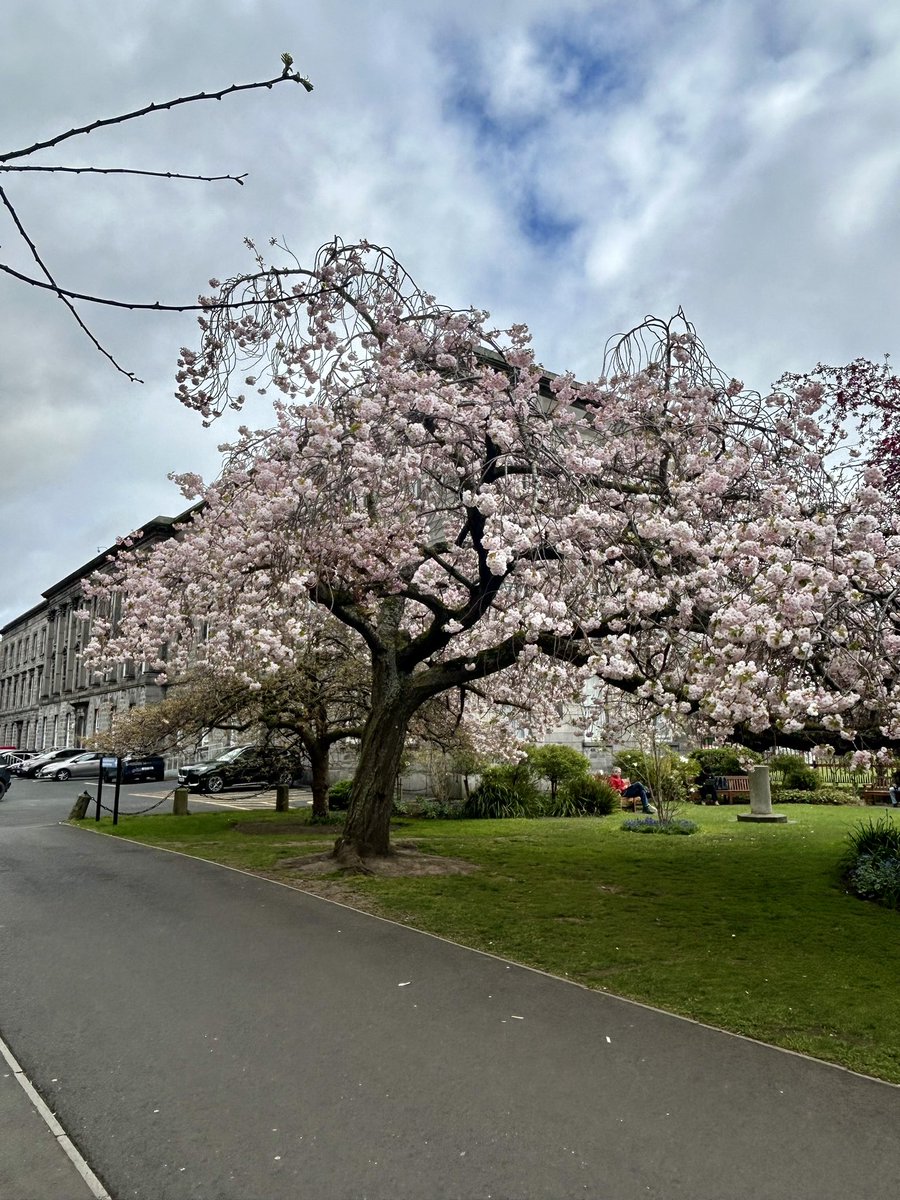 FergusPMcGrath's tweet image. Day 90 of 100 / Round 8 ✅

Almost there, and only 10 days to go.  Another mild day in Dublin. 
Keep her going, everyone. 🚶🚶‍♀️🚶‍♂️

#100DaysOfWalking
#Mild⛅️