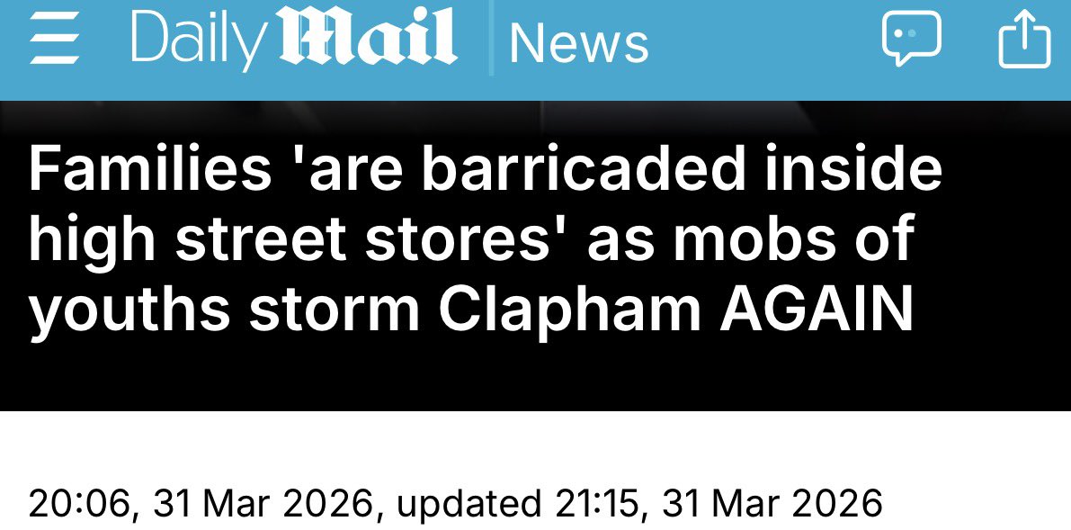 Wolf 🐺 tweet media