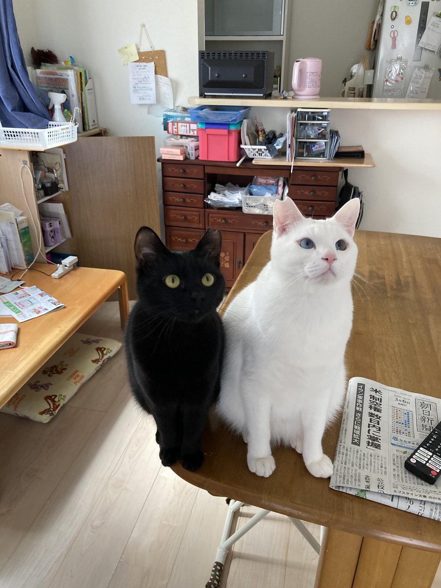 HIROTAKAfeat萌華(HORIZON) tweet media