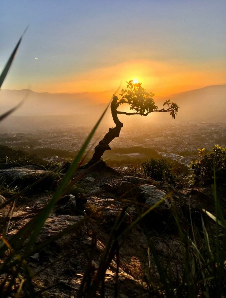 César Pérez Vivas tweet media