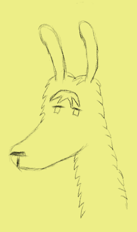 Feco | Alpaca Butler 🦙 tweet media