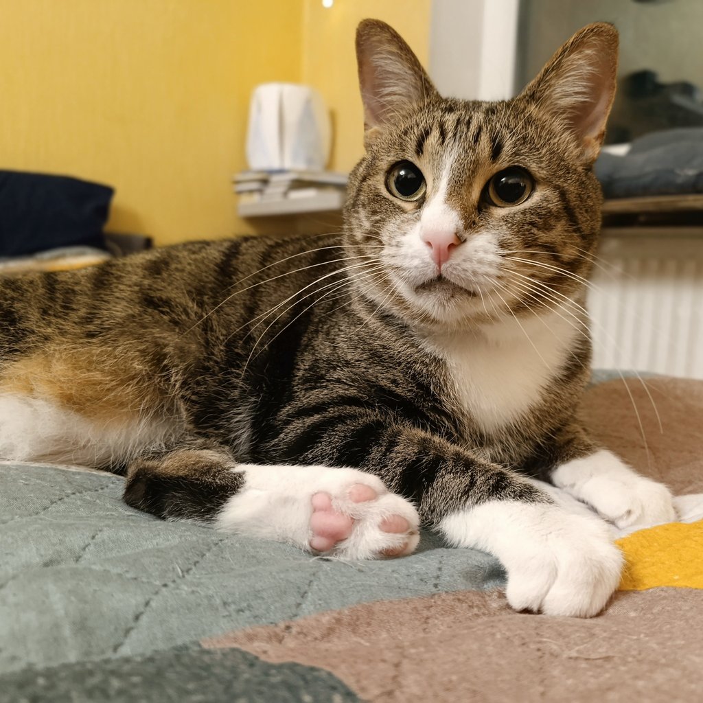 Димка на колесе tweet media