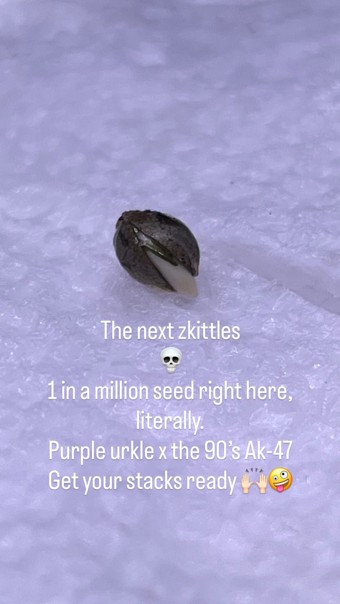 GrowLoKey tweet media