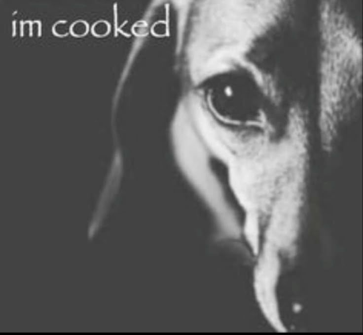 Not so Timely Collei🌱♡ tweet media