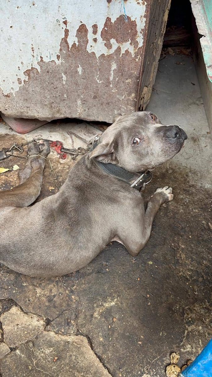 Eri Fernandez tweet media