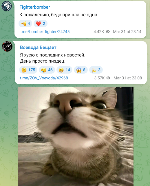 Necro Mancer tweet media