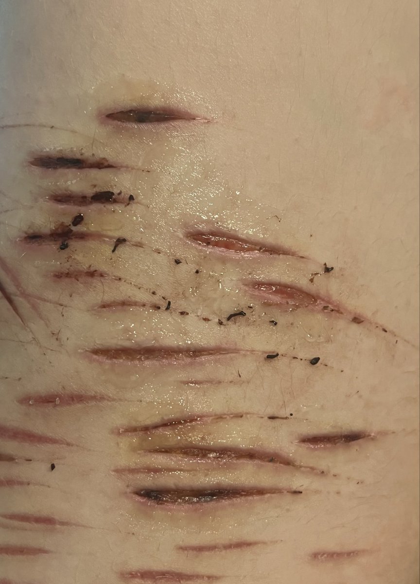 ⤷ ゛𝘳𝘰𝘣𝘺𝘯 ⋮ ⌗ ┆ tweet media