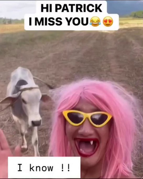 antonín malina tweet media