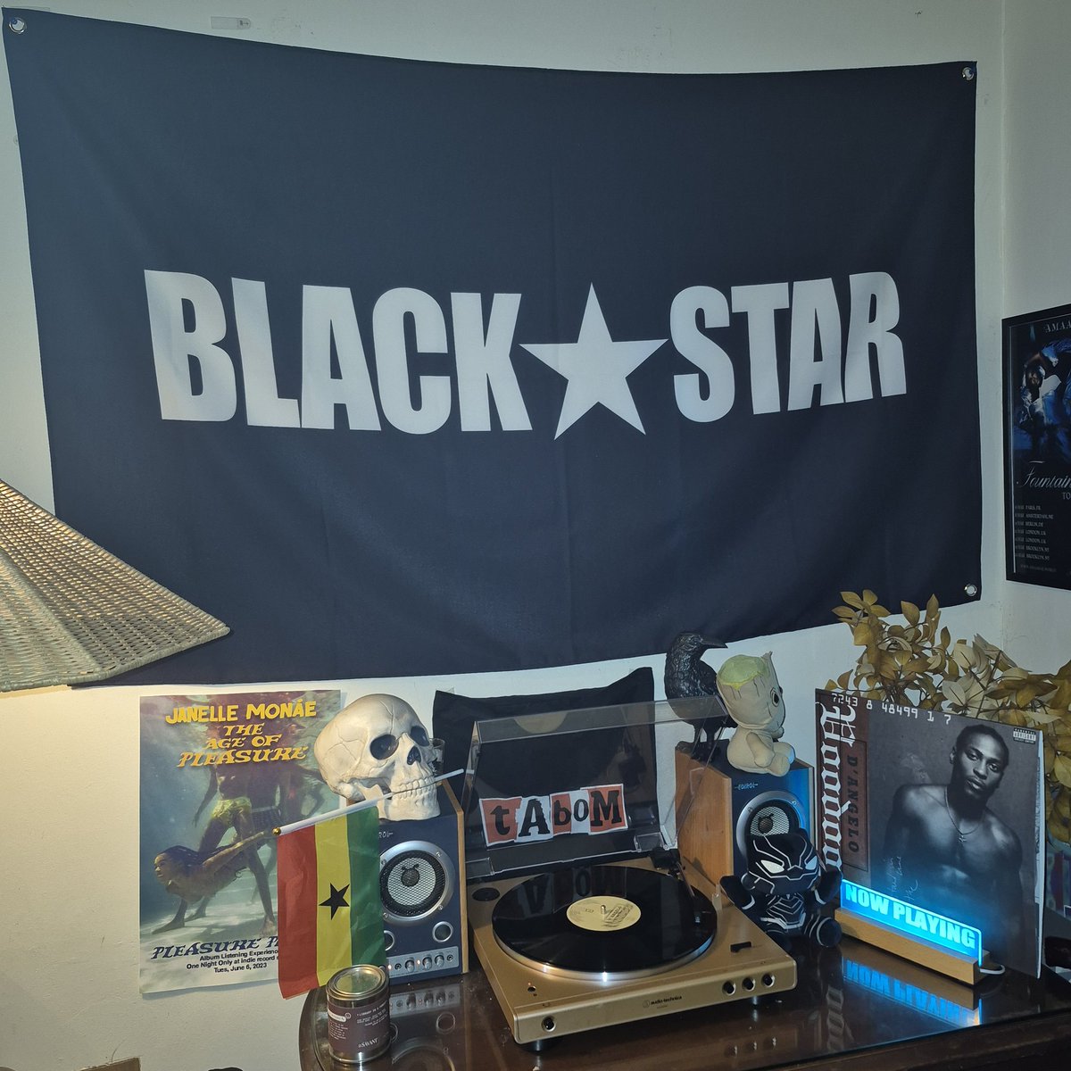 Vinyl Adventures BK🇵🇷🏳️🌈🏳️⚧️ tweet media