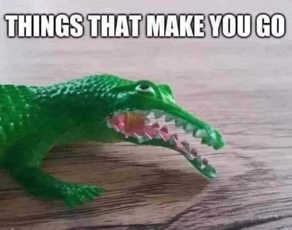 MadWorldResistance tweet media