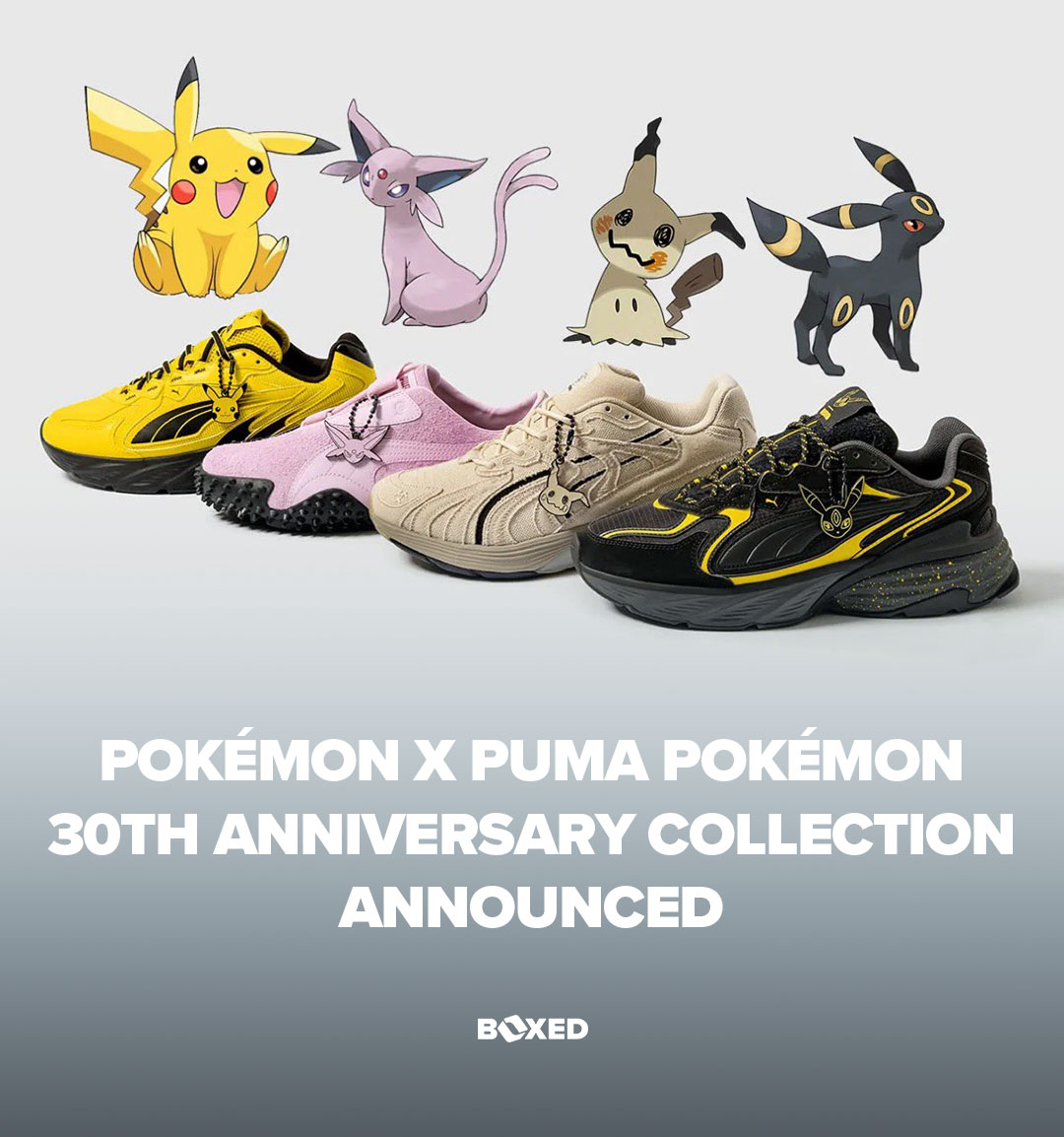 BOXED.GG tweet media