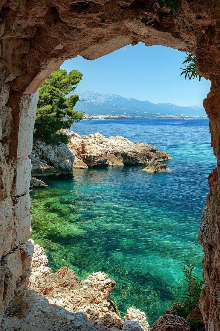 La Ziride 🇩🇿 tweet media