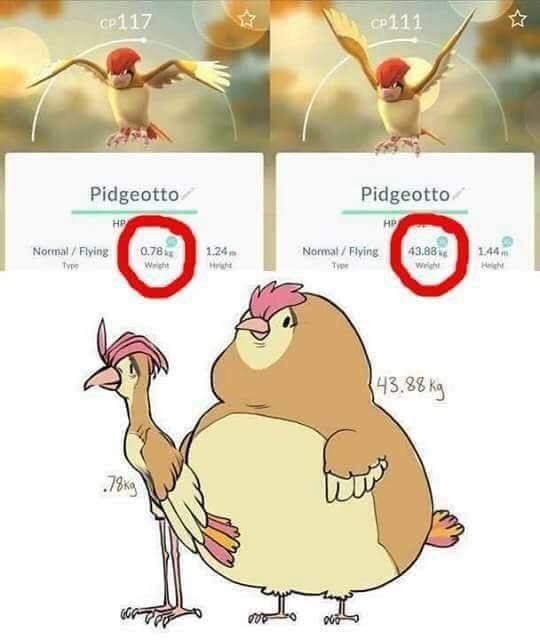 Pokémon Posts tweet media