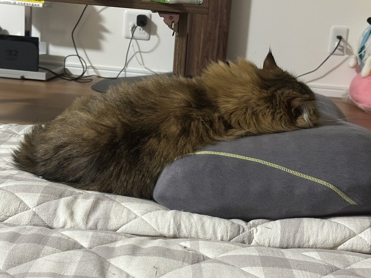 シュート tweet media