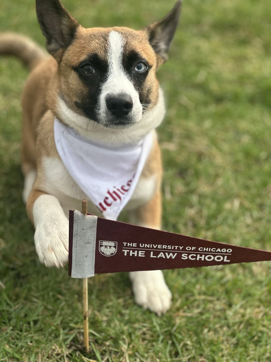 allisonejohnson's tweet photo. It’s #UChiGivingDay! Join alumni, students, and friends (including puppy Max!) for 24 hours celebrating the impact of collective philanthropy. Make your gift before NOON on April 1 and help the Law School unlock $100,000 in matching funds!

Make a gift: https://t.co/Tz8meGXV51 https://t.co/mWGHQrxxZh