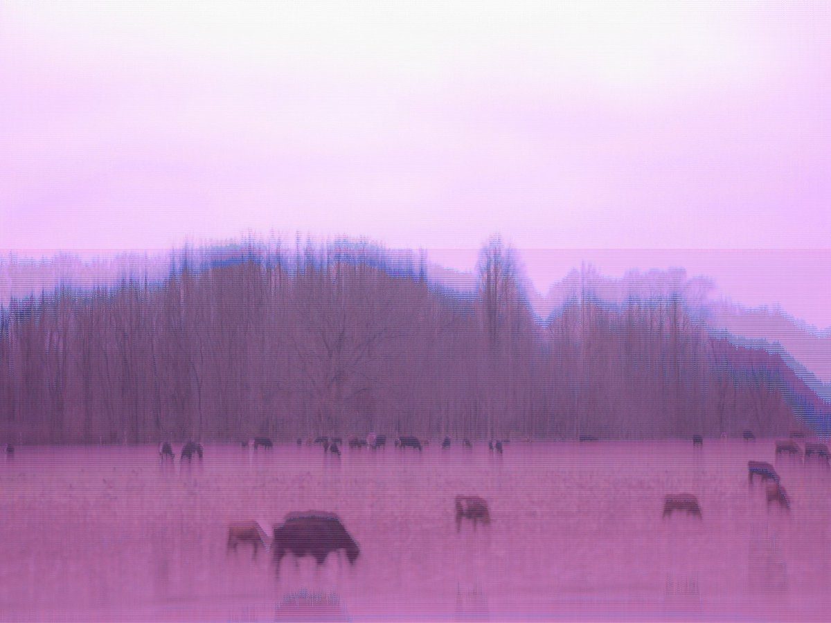 xX_falsegrindgf tweet media