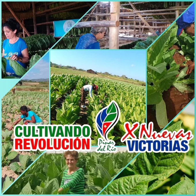 Eumelin González Sánchez tweet media