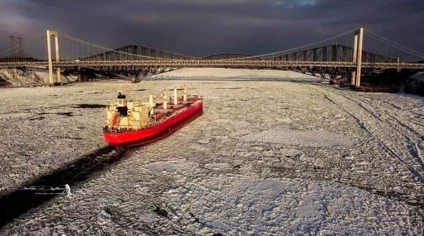 QuebecFier's tweet image. Très beau cliché d'un navire se dirigeant vers Québec, sur le fleuve St-Laurent. ⚜

On y voit les deux ponts reliant les villes de Lévis et Québec.

Les deux rives ne sont reliées que depuis 1917 pour le pont de Québec et 1970 avec le pont Pierre Laporte.

📸Photo: Denis Dufour