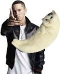 Ghost Trencher tweet media