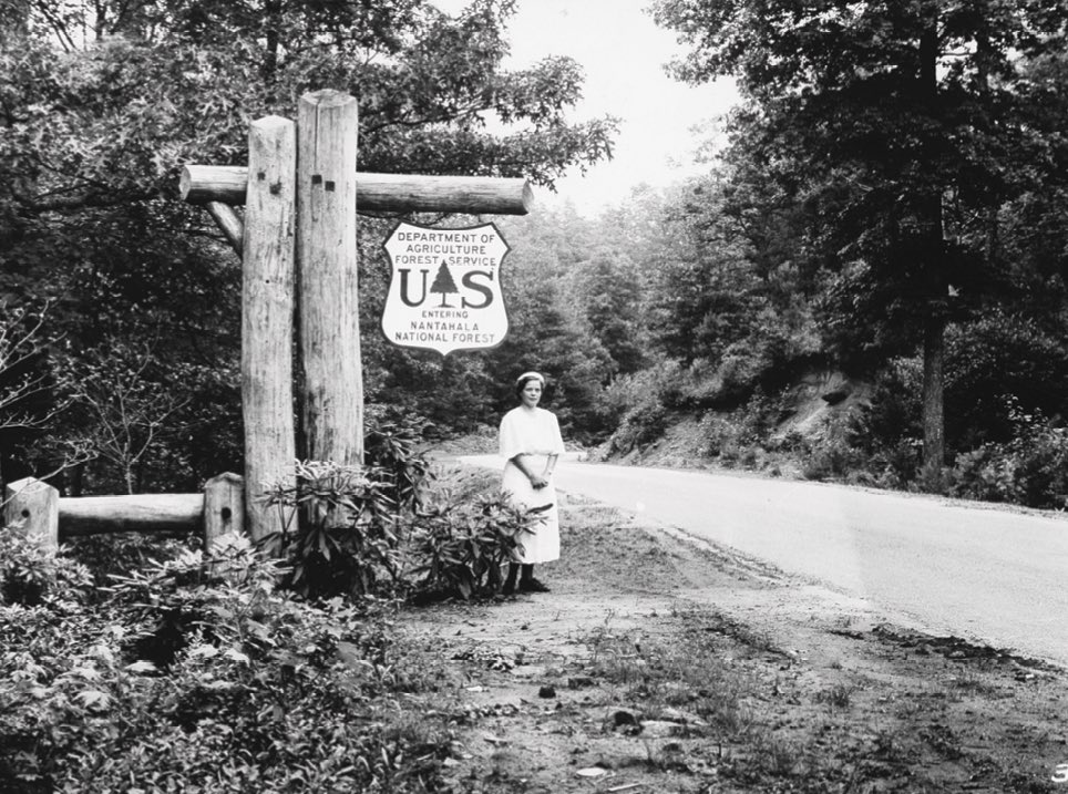 Buffalo Dan tweet media