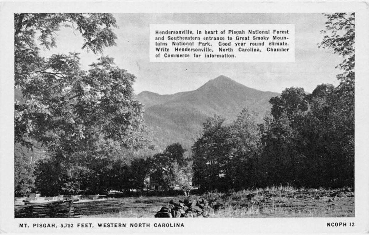 Buffalo Dan tweet media