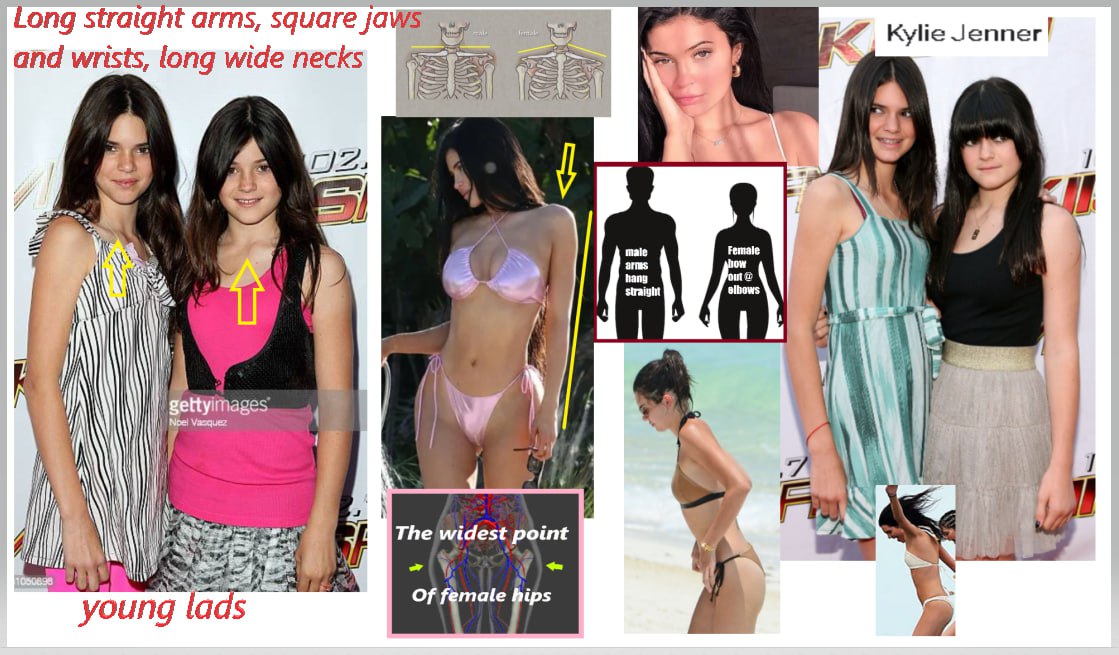 Seeker of Truth tweet media