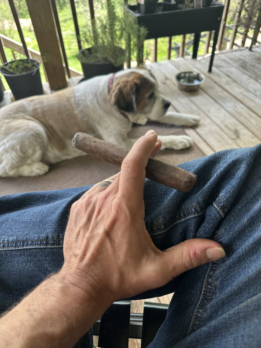 It is a beautiful day in TN!