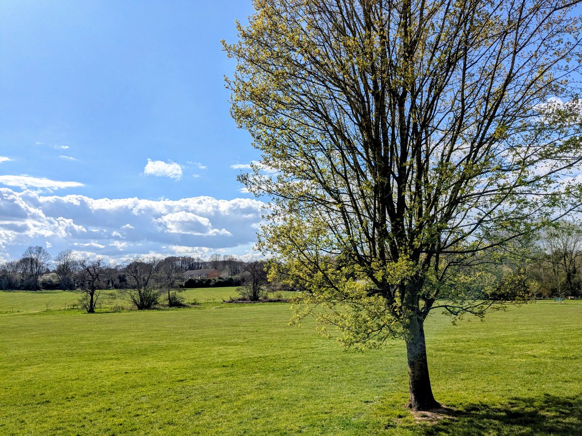 clairevhill's tweet image. Lovely sunny day today! #Knowle #park #friend #cafe