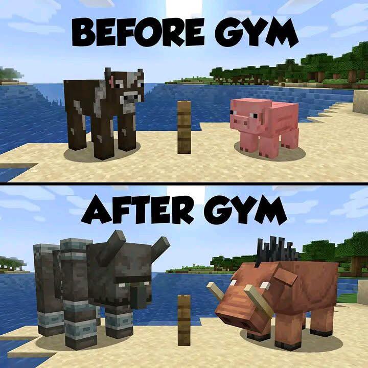 Minecraft Memes ⛏️ tweet media