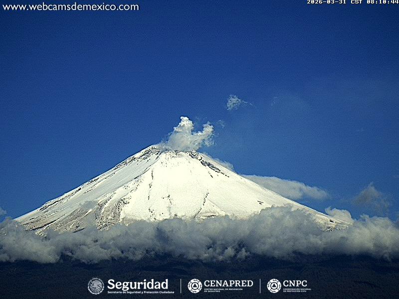 🍁🌧️Meteorología México🥶❄️ tweet media