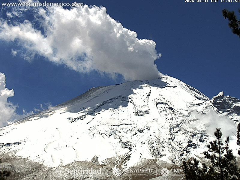 🍁🌧️Meteorología México🥶❄️ tweet media