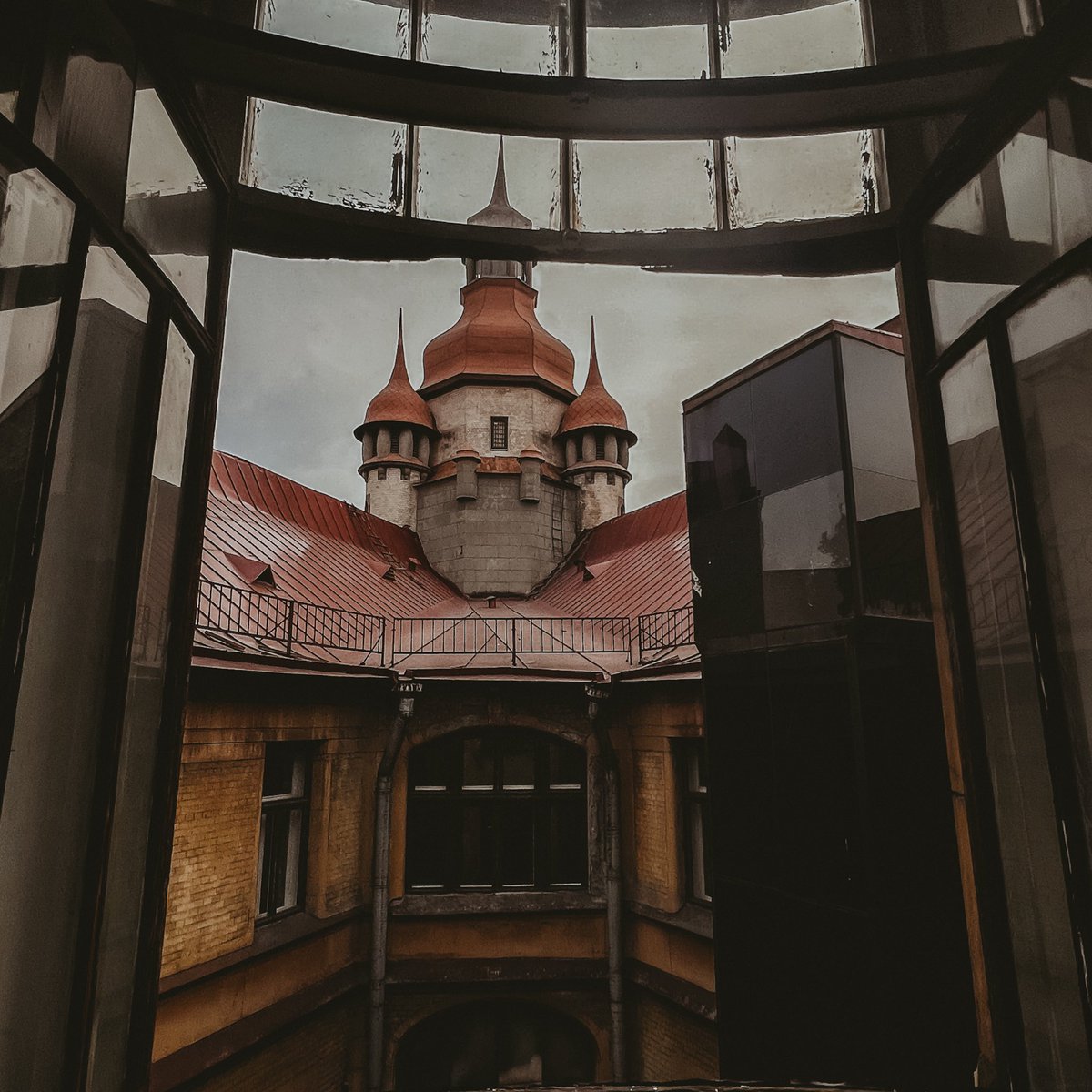 марлинская tweet media