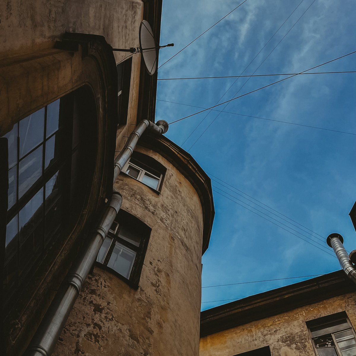 марлинская tweet media