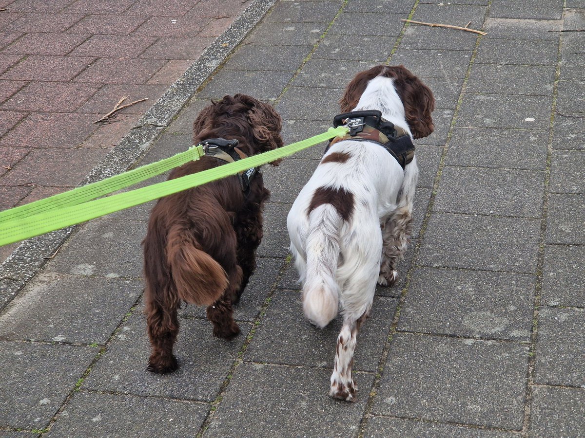 Irma van Hoeven tweet media