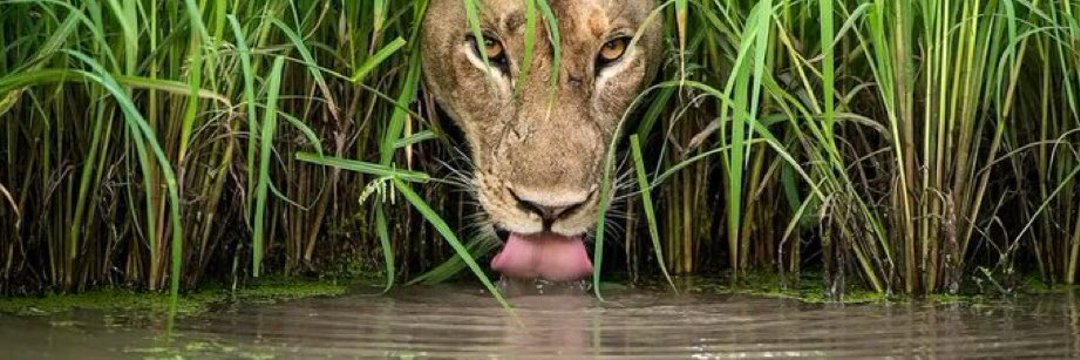 Muna'Masaka tweet media