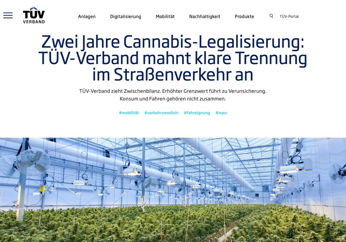 Dr. brok. Oli MultiTalentFrey🥦 tweet media