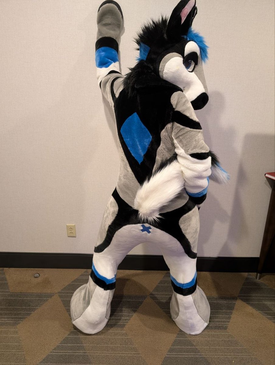 Tibolf 🔜 TFF tweet media