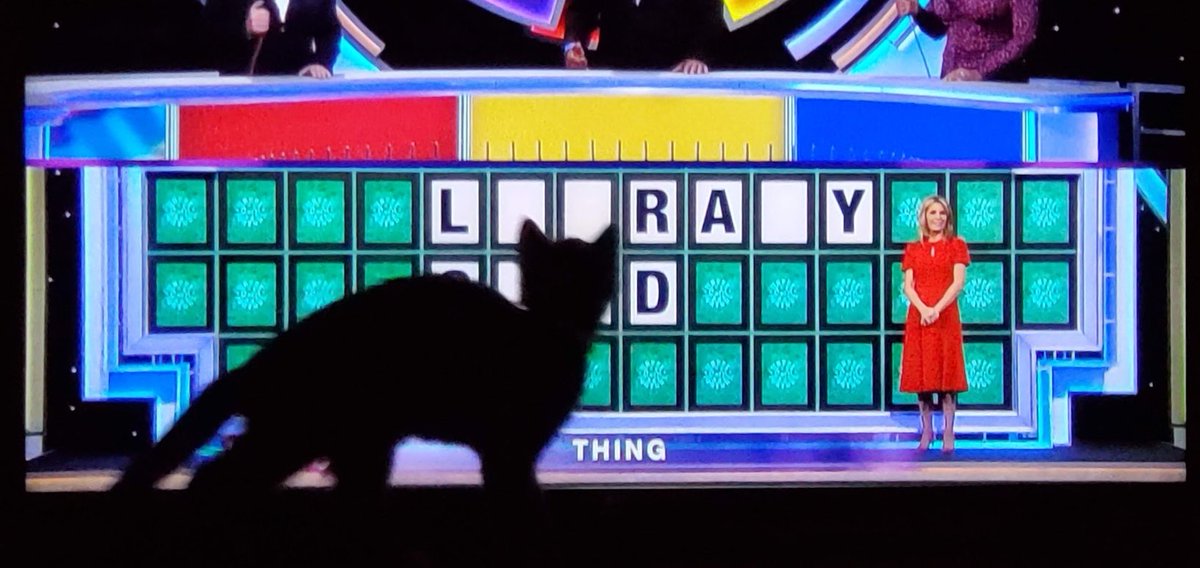 Consulting Writer tweet media