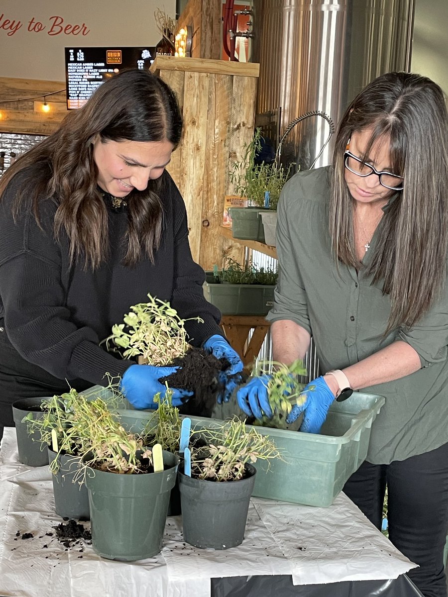 Breanne Tidemann tweet media