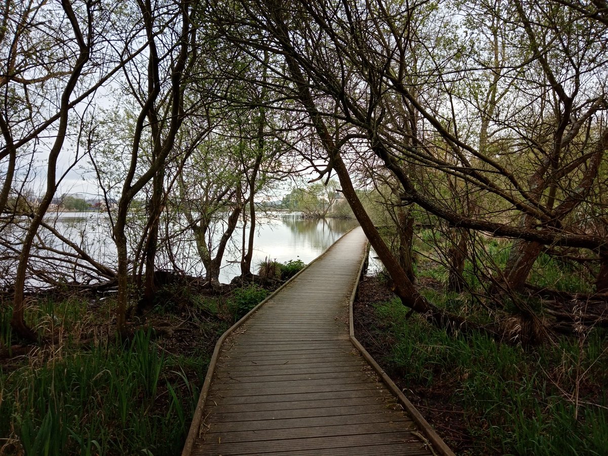 Wendy Mewes tweet media