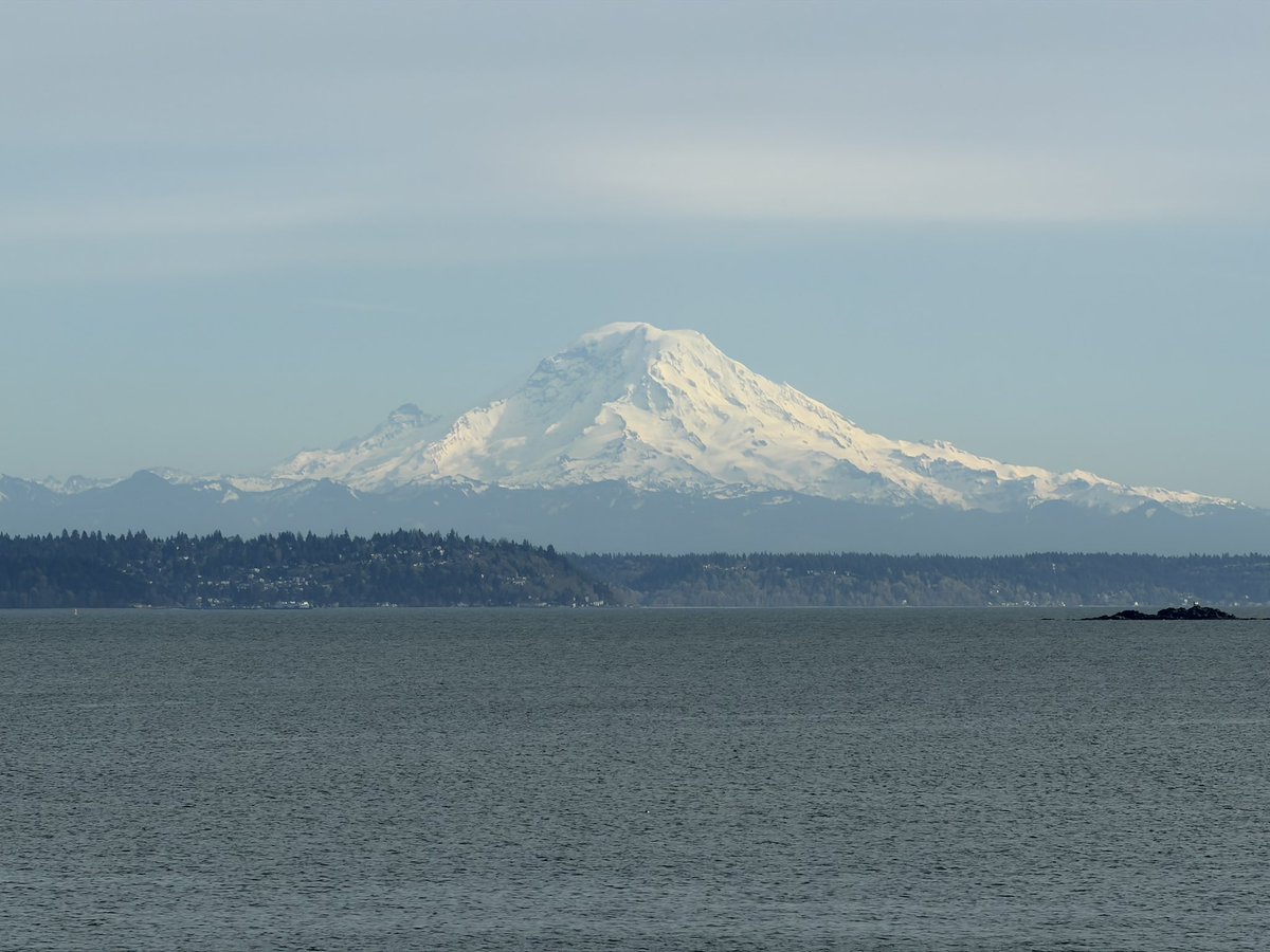 mark stewart tweet media