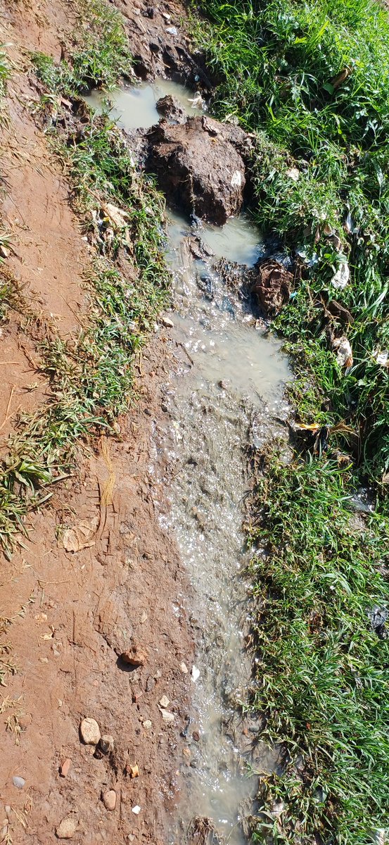 Dear <a href="/nwscug/">NWSC 🇺🇬</a> ,<a href="/NWSCMD/">Dr. Silver Mugisha</a> there is a sewerage overflow in our area in Mbale-indian quarters at Hamber stores adjcnt to Cosy point restuarant. This issue has been there for a week now despite our efforts to contact you guys. And to make matrers worse, it flows into a nursery school.
