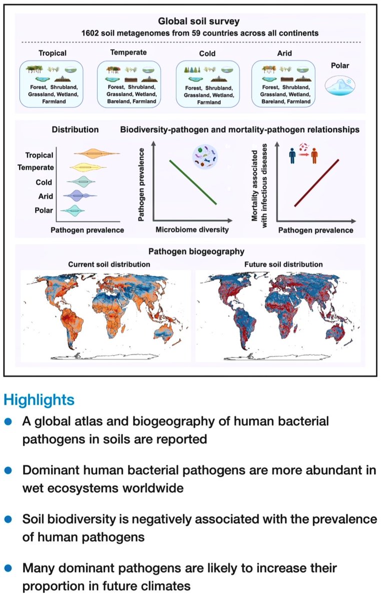 Jose Ramos Vivas tweet media