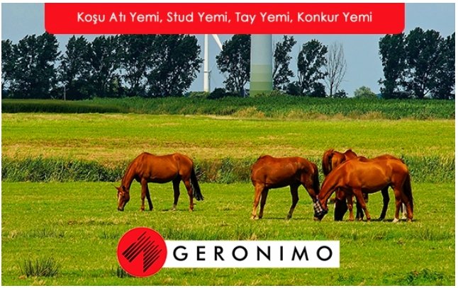 Geronimo tweet media