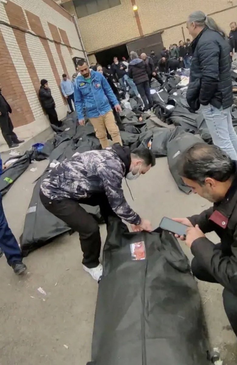 NEGINMIRMEHDI tweet media