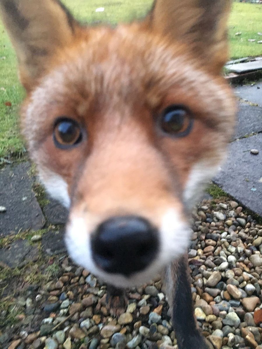 ZHEYI DEBUT 💗 tweet media