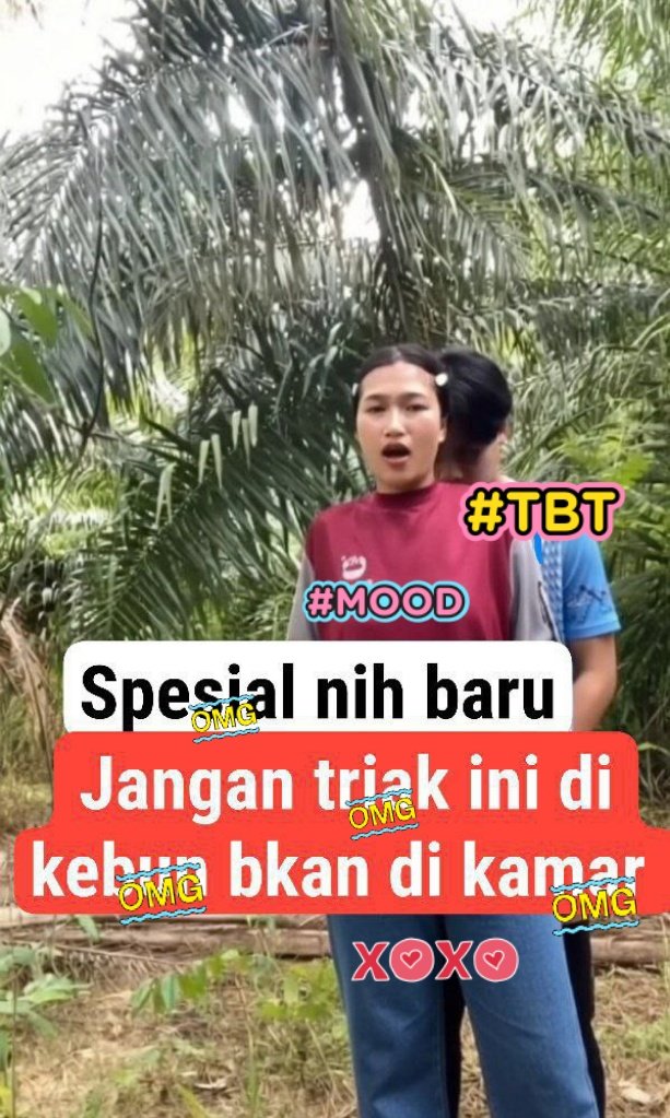 KOLAM ZEBRA tweet media