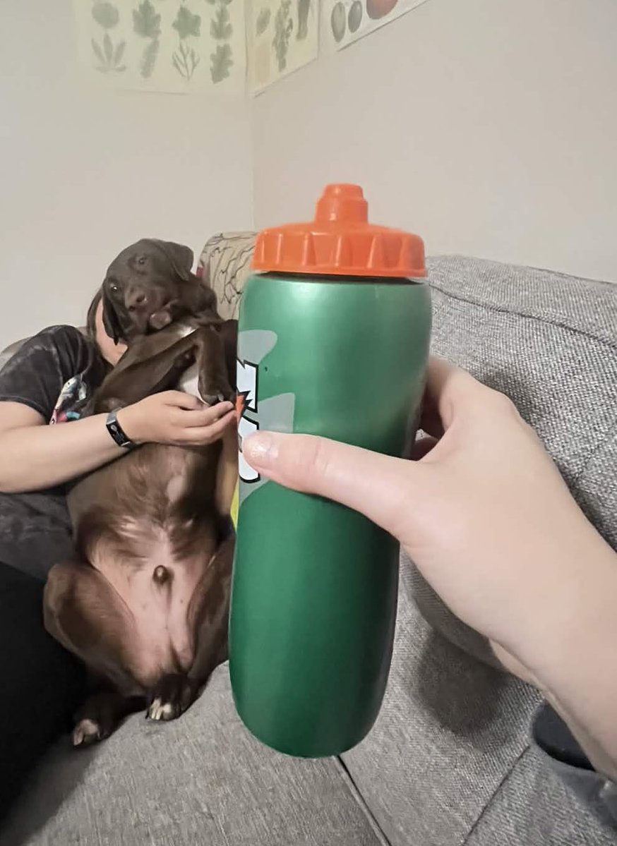 Fly影 🩶 tweet media